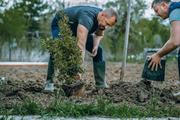 Best Artificial Turf Installation  in Frenchtown, NJ
