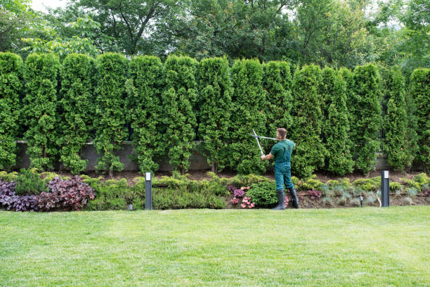 Best Landscape Design and Installation  in Frenchtown, NJ
