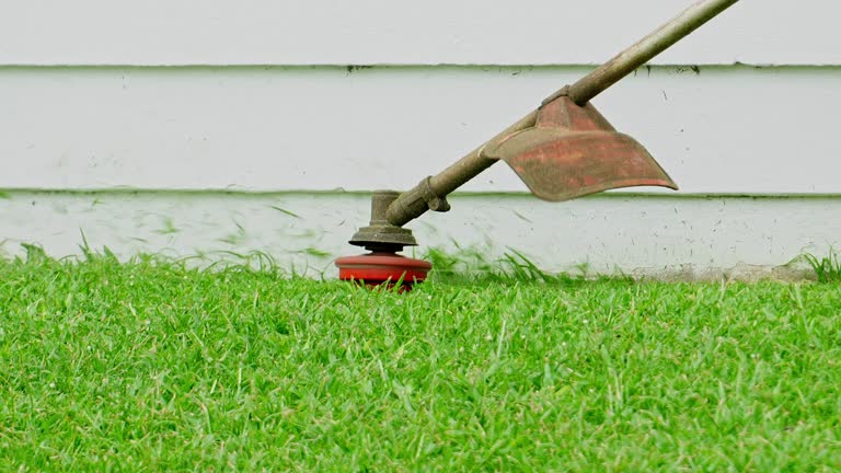 Best Lawn Grading and Leveling  in Frenchtown, NJ