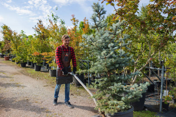 Best Tree Health Inspection  in Frenchtown, NJ