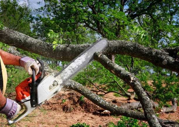 Lawn Watering Services in Frenchtown, NJ